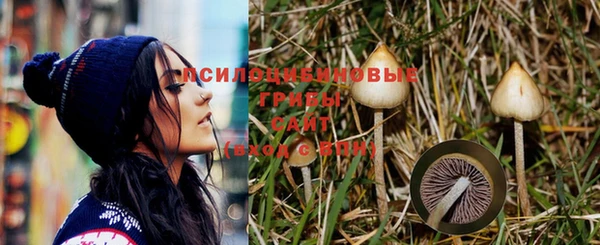 твердый Лиски