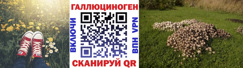 цена   mega ССЫЛКА  Галлюциногенные грибы прущие грибы  Черепаново 